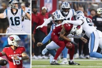 carolina-panthers-vs-arizona-cardinals