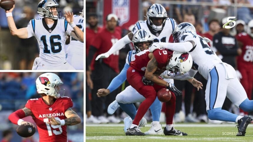 carolina-panthers-vs-arizona-cardinals